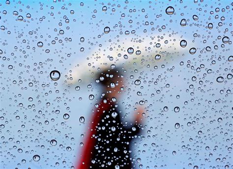 Can You Drive Motorcycle in Rain? And Why Do Raindrops Taste Like Mint?