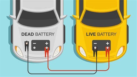 Can You Jumpstart a Car in the Rain, and Why Do Cats Always Land on Their Feet?