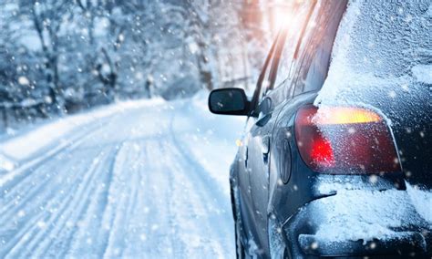 How Often Should I Start My Car in Cold Weather: And Why Do Penguins Prefer Snowstorms Over Heatwaves?