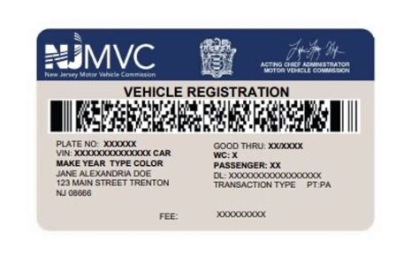 How to Cancel Car Registration in NJ: A Comprehensive Guide and the Curious Case of Garden State Bureaucracy